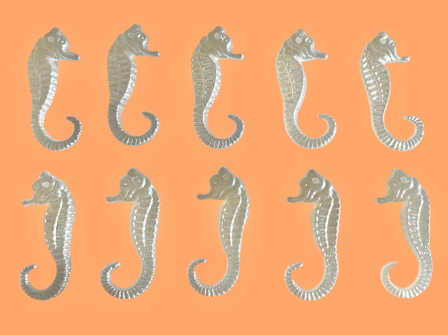 10pc sea horse charms!