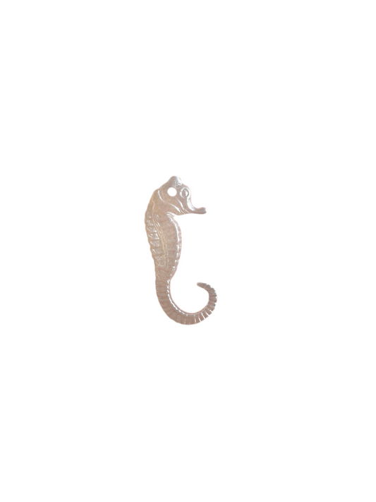 10pc sea horse charms!