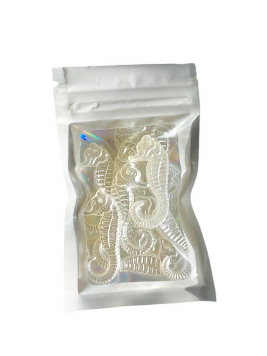 10pc sea horse charms!