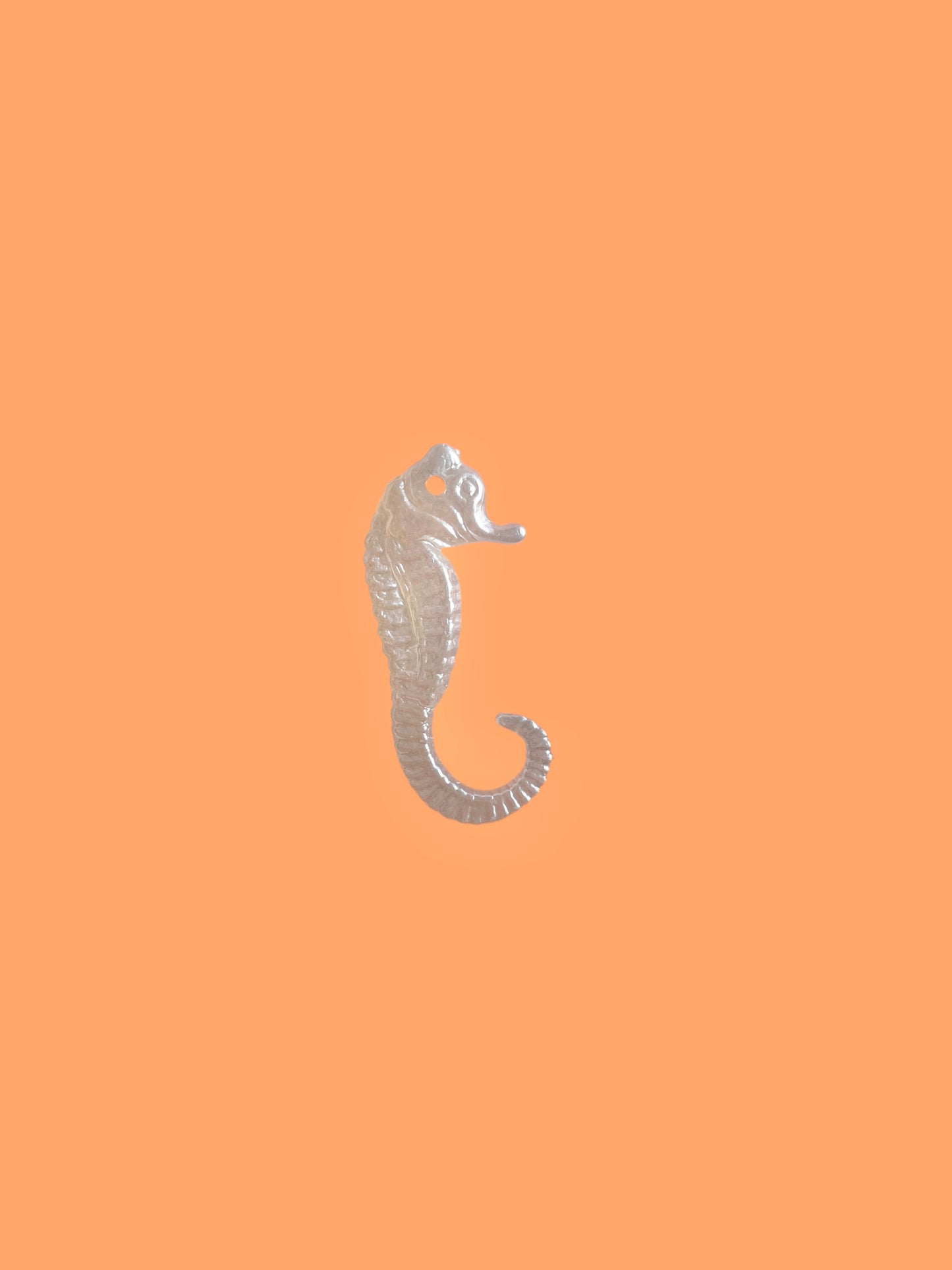 10pc sea horse charms!