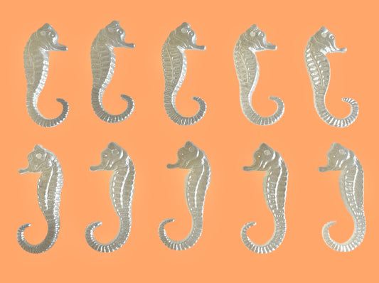 10pc sea horse charms!