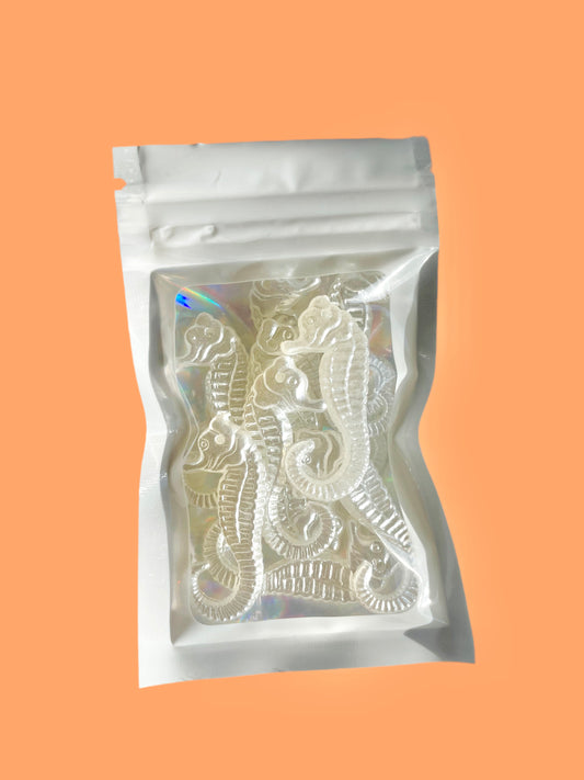10pc sea horse charms!